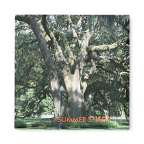 SUMMER SHADE Season Magnet by Dmargie1029 SUMMER SHADE Season Magnet