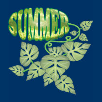 Summer t-shirts