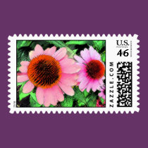 Summer Sisters postage