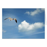 Summer Sky Cards