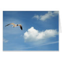 Summer Sky cards