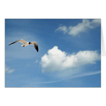 Summer Sky cards
