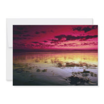 Summer sky reflections, low tide, Huntington Beach Personalized Announcements