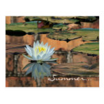 Summer Solstice Party Invitation Postcard