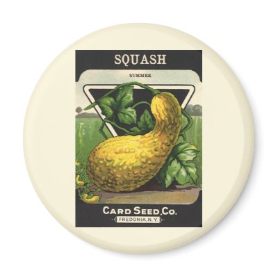 Summer Squash Seed Packet Magnet