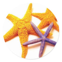 Summer Starfish Stickers by Sepia673 Summer Starfish Stickers