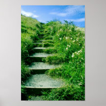 Summer Steps Poster