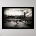 Summer Storm at the Superstition Mountains posters