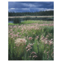 Summer Storm Over Refuge flyers