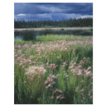Summer Storm Over Refuge flyers