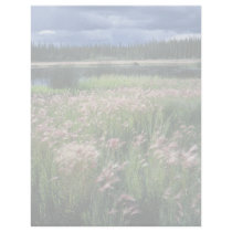Summer Storm Over Refuge Letterhead Template