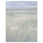 Summer Storm Over Refuge letterhead