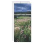 Summer Storm Over Refuge Rack Card Template