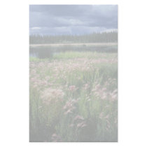 Summer Storm Over Refuge stationery