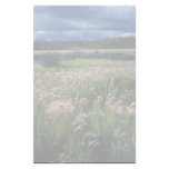 Summer Storm Over Refuge stationery
