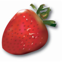 Summer Strawberry Magnet Photo Cut Out