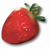 Summer Strawberry Magnet photo sculptures