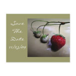 Summer Strawberry Wedding Save The Date Post Cards