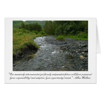Summer Stream Photo Card card