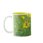 SUMMER SUN mugs