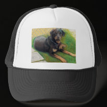 Summer Sun: www.AriesArtist.com hats