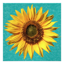 Summer Sunflower Bridal Shower Custom Invite