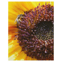 Summer Sunflower flyers