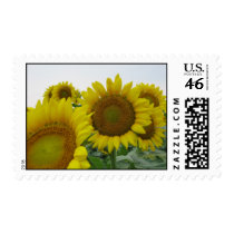 Summer Sunflower Series Stamps