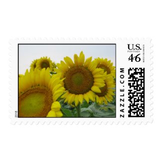 Summer Sunflower Series Stamps