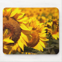 Summer Sunflowers 2 Mousepad mousepads