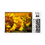 Summer Sunflowers 2 Postage Stamps