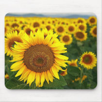 Summer Sunflowers Mousepad mousepads