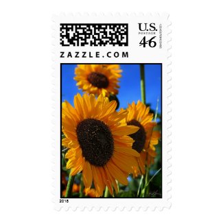 Summer Sunflowers stamp