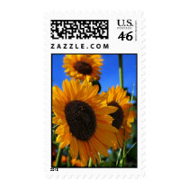 Summer Sunflowers postage by misskitteh Summer Sunflowers postage