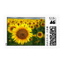 Summer Sunflowers Postage