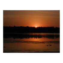 Summer Sunset #1 posters