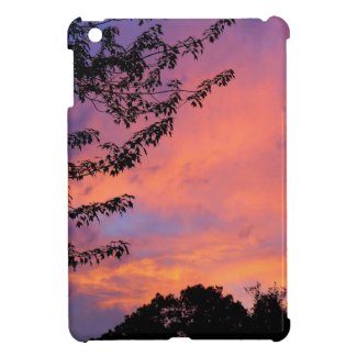 Summer Sunset iPad Mini Cases