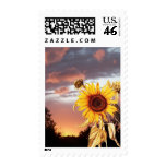 SUMMER SUNSET POSTAGE STAMPS