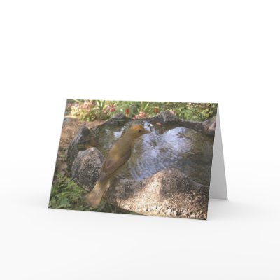Summer Tanager Bath Card by naturegirl7
