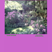 SUMMER TIME FLOWERS TOP t-shirts