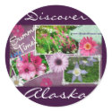Summer Time In Alaska sticker