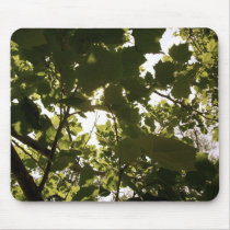 Summer Time Memories mousepads