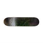 Summer Time Pasos Inc. Skate Board Decks