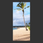 summer_time posters
