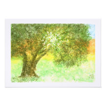 Summer Tree Aleph Bat/Bar Mitzvah  Invitation