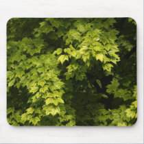 Summer Tree mousepads