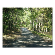 Summer Warmth -10x8 - Photographic Print