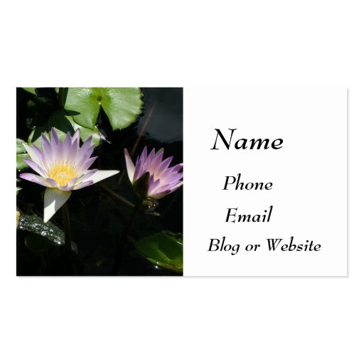 Summer Water Lilies Business Card (front side)