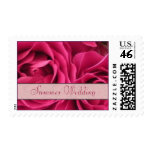 Summer Wedding Stamps - Fuchsia Roses Postage