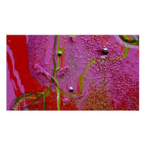 "Summer Wind" business cards